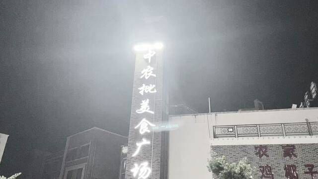 #网红夜市 #夜市里的烟火气 #现场实拍