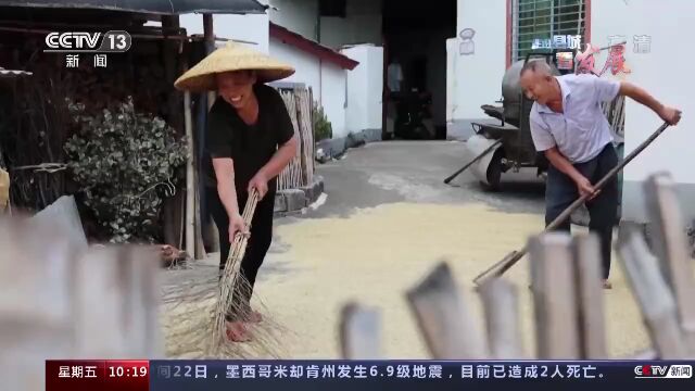 走进县城看发展丨广西兴安:“产业”铺起致富路ⷥƒ年古城焕新颜