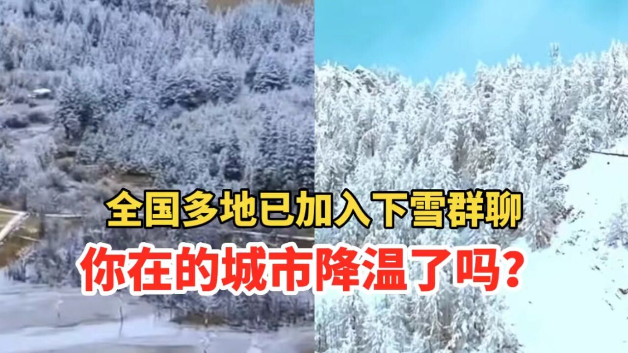 寒潮来袭!全国多地已加入下雪群聊,你在的城市降温了吗?