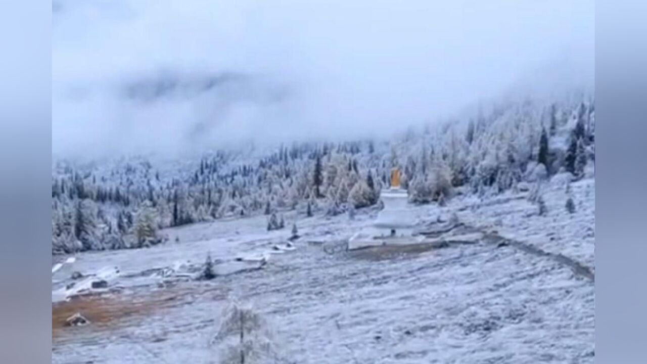 银装素裹!内蒙古、四川多地加入下雪群聊,一起感受大美中国