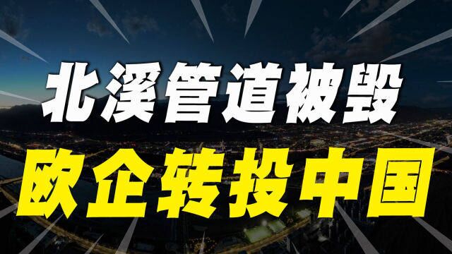 欧洲能源短缺,中国市场成为香饽饽,欧洲企业正排队进场