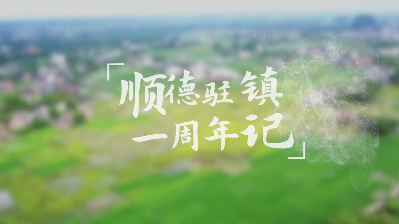 视频 | 顺德驻镇帮镇扶村一周年记