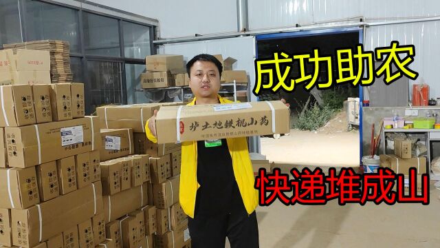 似水年华助农卖货,家乡的铁棍山药卖爆单,40度的天气干劲十足