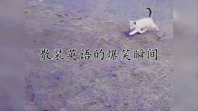 散装英语的爆笑瞬间