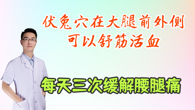 伏兔穴在大腿前外侧,可以舒筋活血,改善腰腿疼痛,每天三次