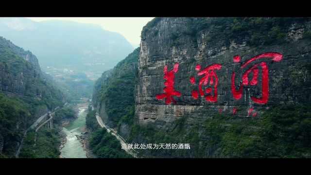 贵州国胤酒业集团宣传片全片,欢迎各方前来洽谈合作