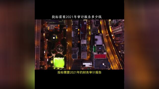 投标需要2021年的财务审计报告多少钱,特企财审计