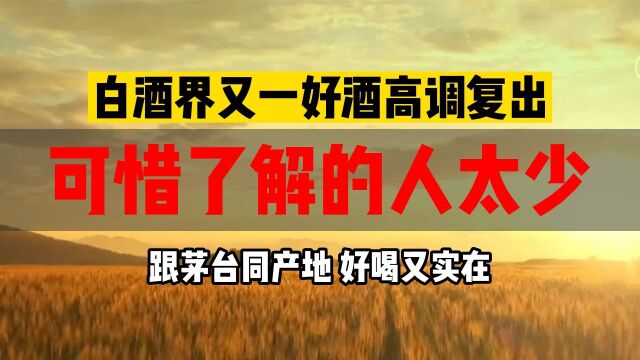 推荐一款好酒:金酱金质,酒质精,味道佳,上上佳酿!