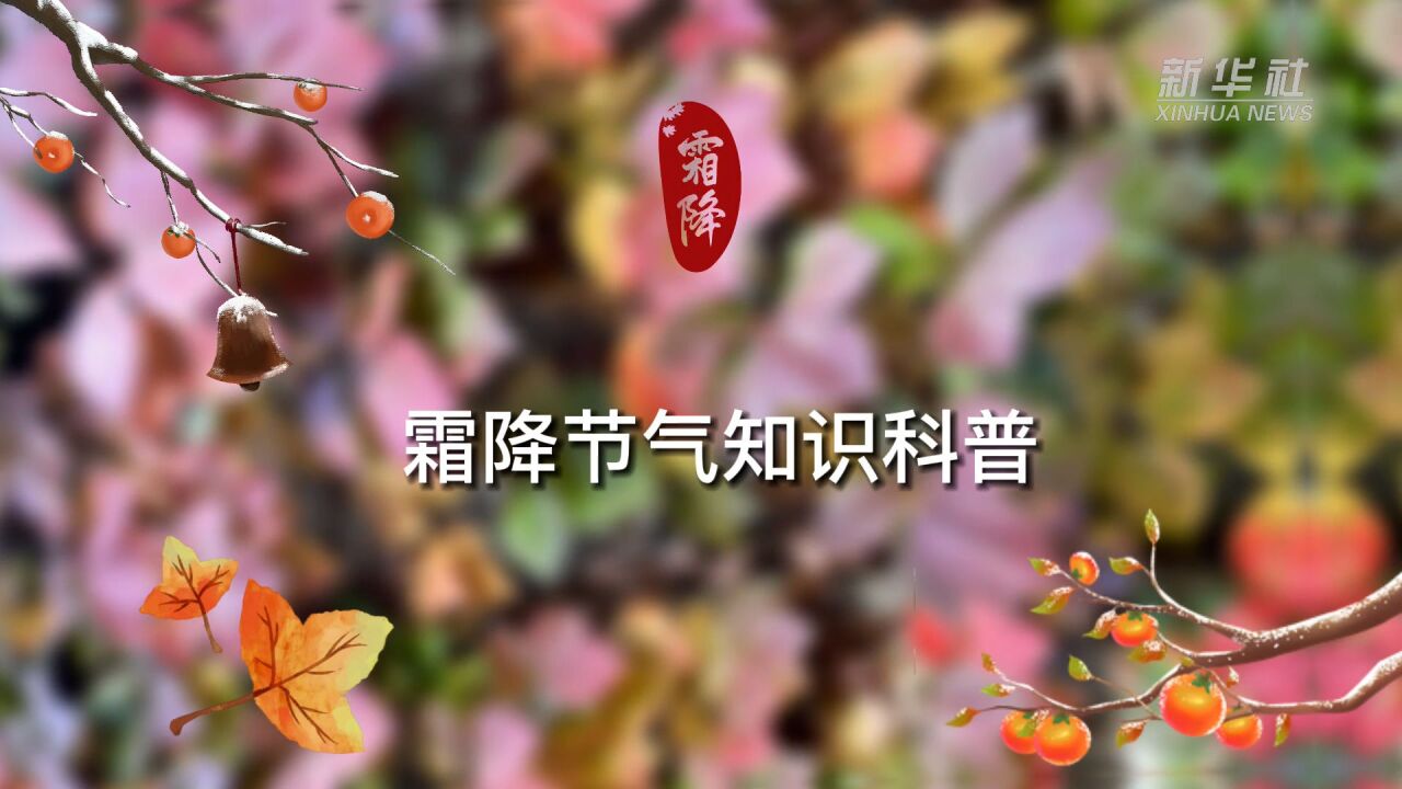 原创动画|霜降节气知识科普