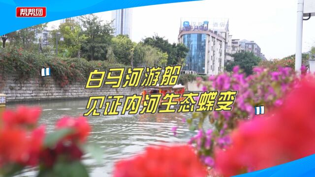 焕发新生!白马河游船见证内河生态蝶变,市民泛舟悠游尽赏美景