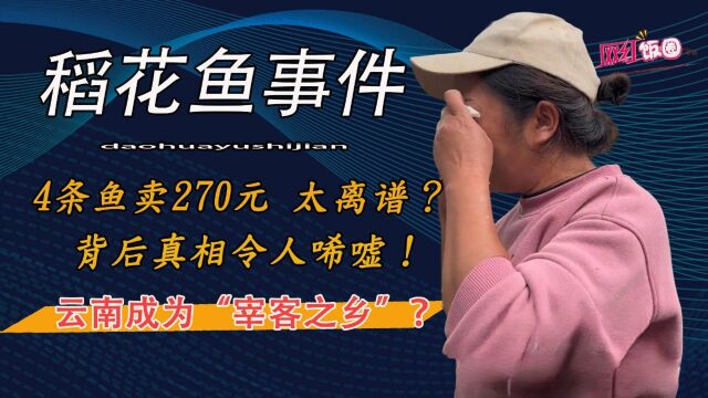 云南成为“宰客之乡”?4条鱼卖270元太离谱?背后真相令人唏嘘