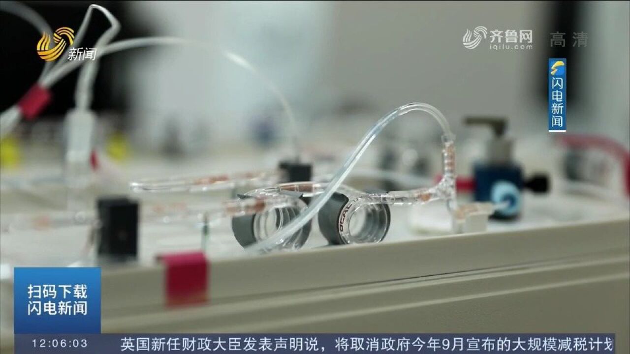 攻关!青岛农业大学加快盐碱地生物育种,利用科技支撑稳粮保供