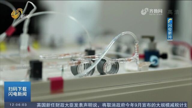 攻关!青岛农业大学加快盐碱地生物育种,利用科技支撑稳粮保供