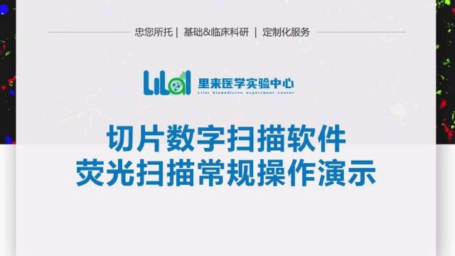 切片数字扫描软件荧光扫描常规操作演示