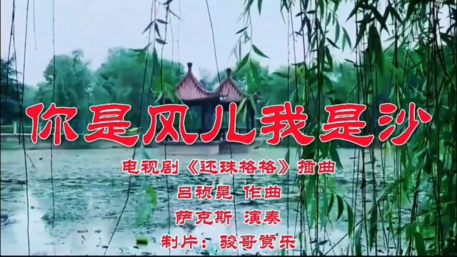 萨克斯演奏的经典歌曲:《你是风儿我是沙》,缠缠绵绵绕天涯!