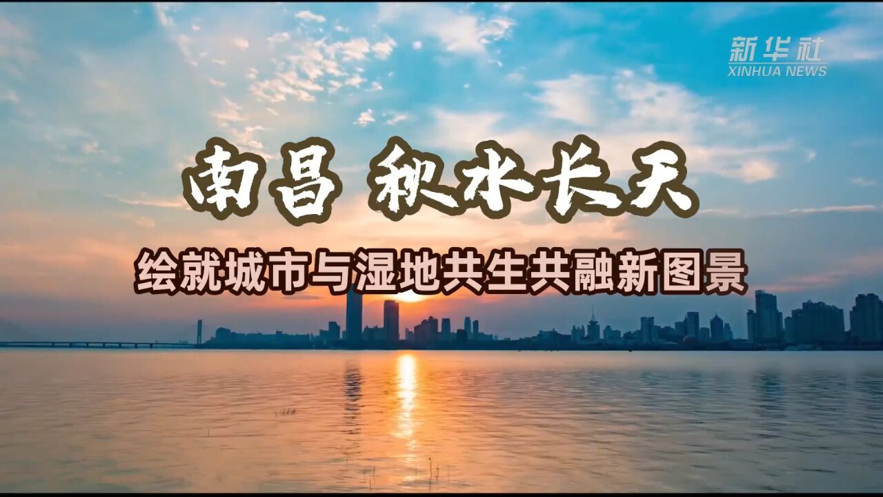 新华全媒+|南昌:秋水长天 绘就城市与湿地共生共融新图景