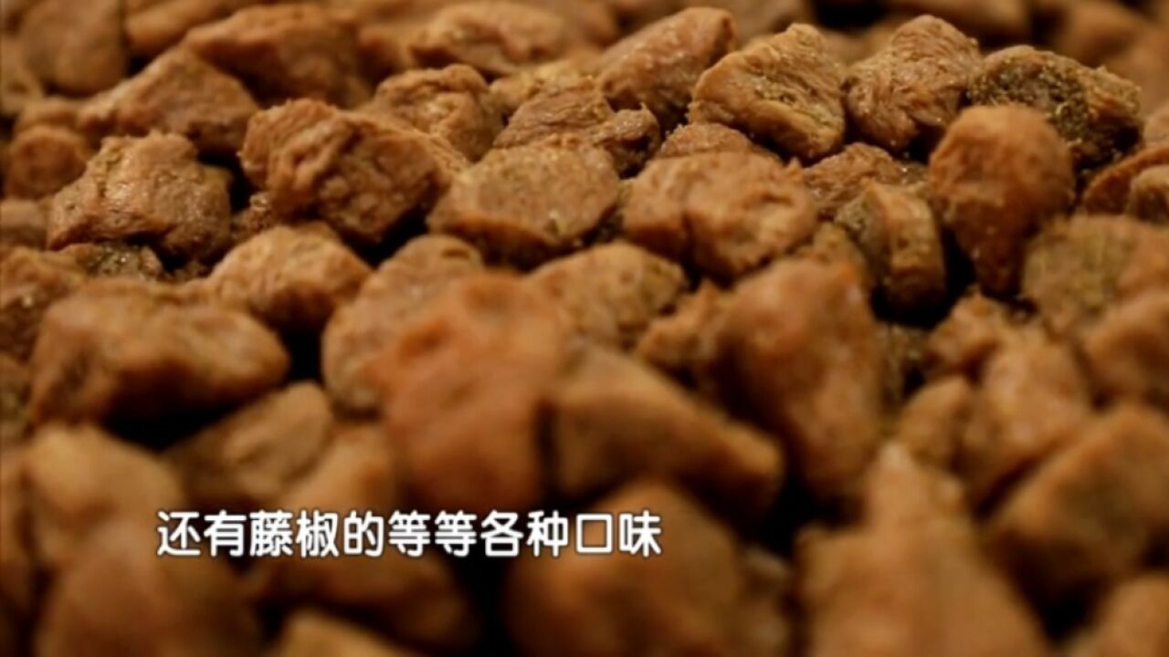 高蛋白低脂肪,低油低糖!素肉口味多多,老人小孩都能吃