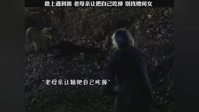 第5集|老母亲为了保护女儿,让狼把自己吃掉 #大地情深