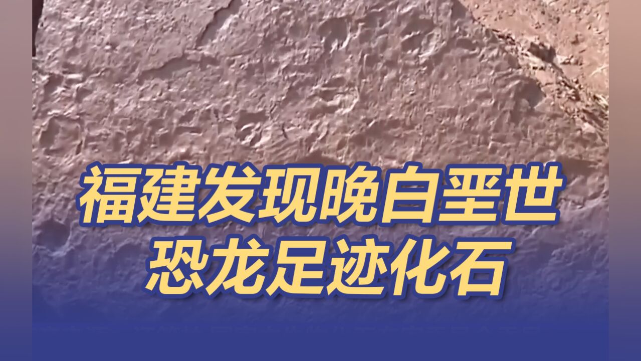 福建发现晚白垩世恐龙足迹化石 恐龙灭绝前最后的印记