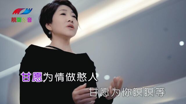 王寒《甘愿为你等》官方原版KTV导唱字幕HD歌曲