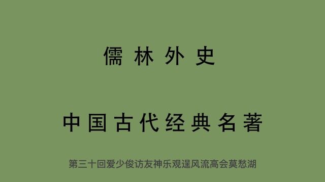 30有声书 全文朗读 儒林外史30