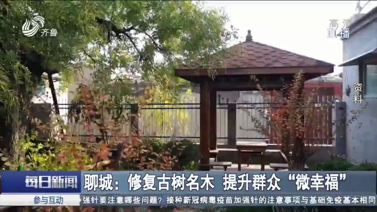 聊城修复古树名木,打造特色口袋公园,提升群众家门口的＂微幸福＂