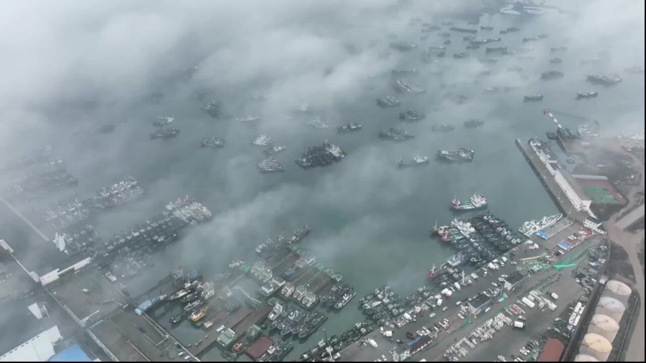 视频|威海荣成:静美安宁,看渔船归港避寒潮