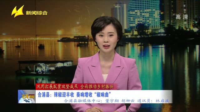 合浦县:辣椒迎丰收,奏响增收“椒响曲”