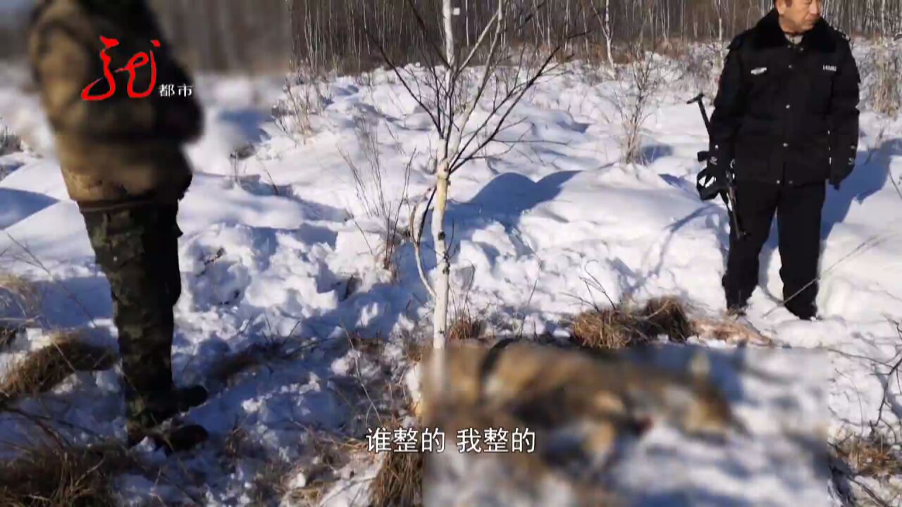 咋回事?深山雪地出现血迹 民警迅速进行调查