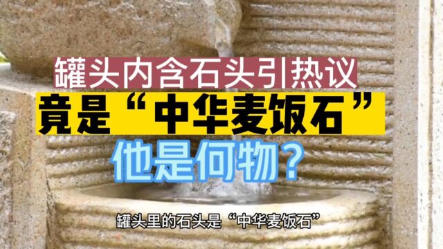 罐头内含石头引热议,竟是“中华麦饭石”他是何物?