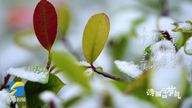 夜读|今日大雪