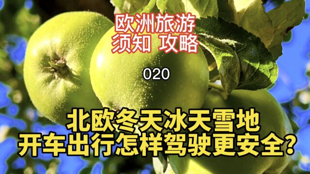 欧洲旅游须知攻略020 北欧冬天冰天雪地 开车出行怎样更安全?