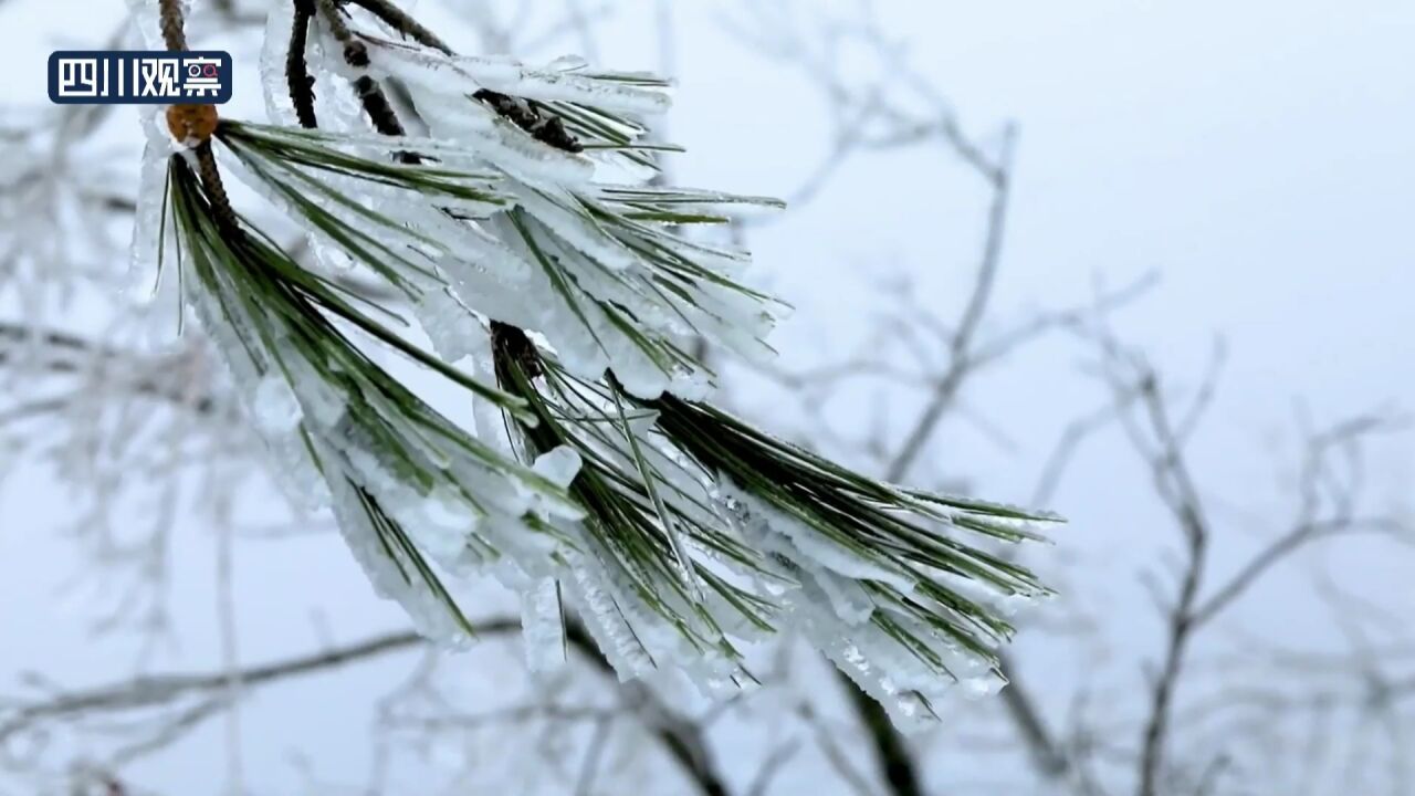 山间着“羽衣”大地换“新装” 四川多地解锁“雪景模式”