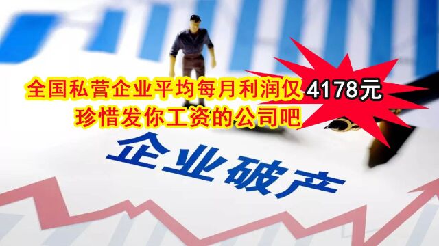 全国私营企业平均每月利润仅4178元,好好珍惜发工资给你的公司吧