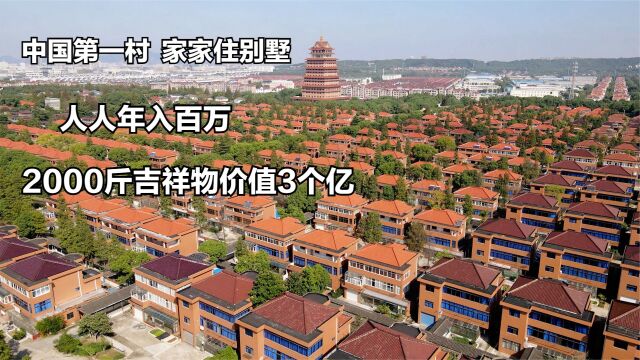 中国第一村,家家住别墅,人人年入百万,2000斤吉祥物价值3个亿