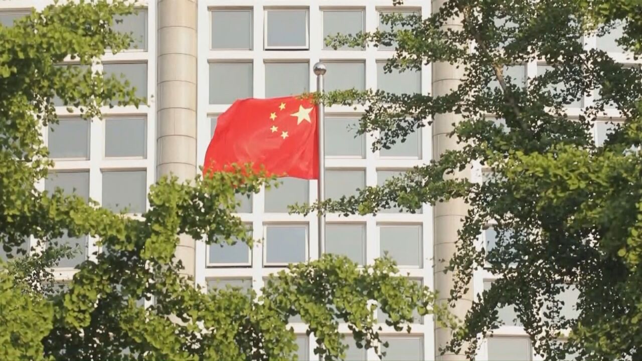 分析:中国经济明年有望总体回升 给世界经济注入稳定性