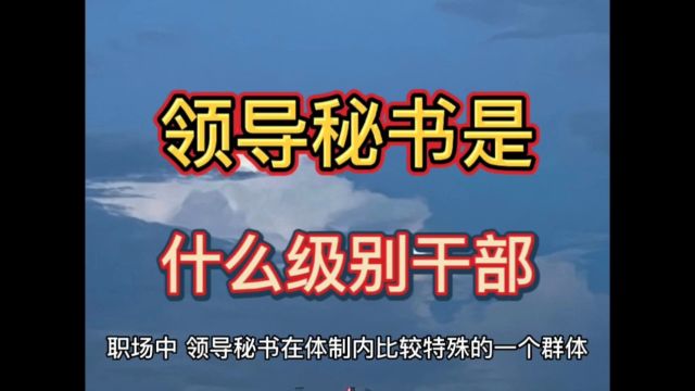 领导秘书是什么级别的干部?