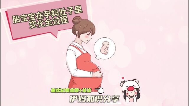 胎宝宝在孕妈肚子里变化全过程,祝所有准妈们身体健康,一切好孕~