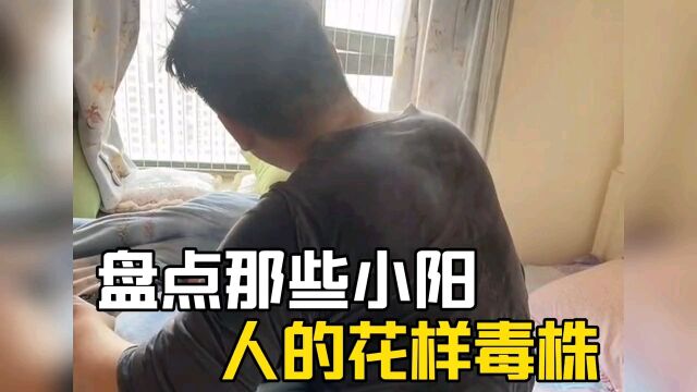 小洋人的花样毒株