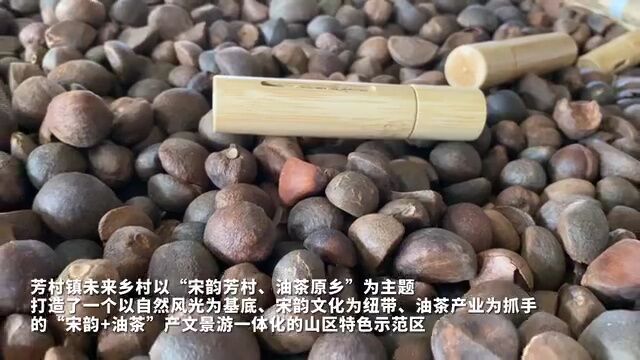 乡村振兴在行动丨浙江常山:“借U为U”,奋力打造“共富果园”