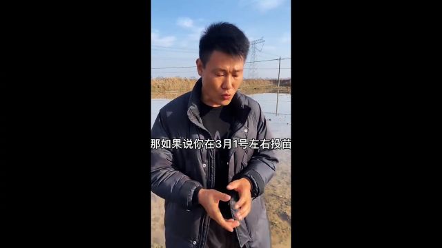 小龙虾养殖一亩需要多少成本,到底能赚多少钱?看完明白!