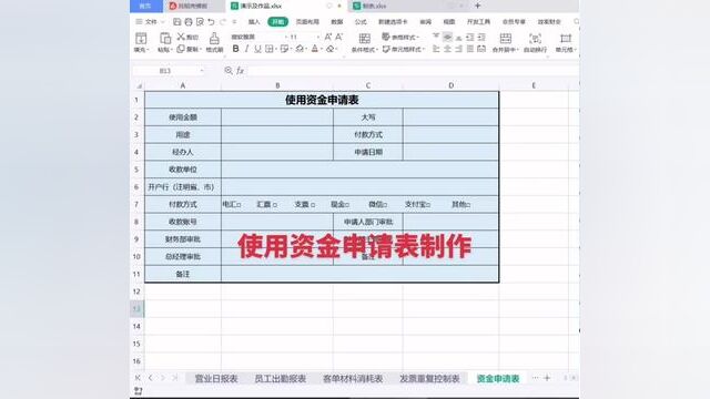 使用资金申请表制作#0基础学电脑 #小白学习excel #文职 #职场 #零基础教学