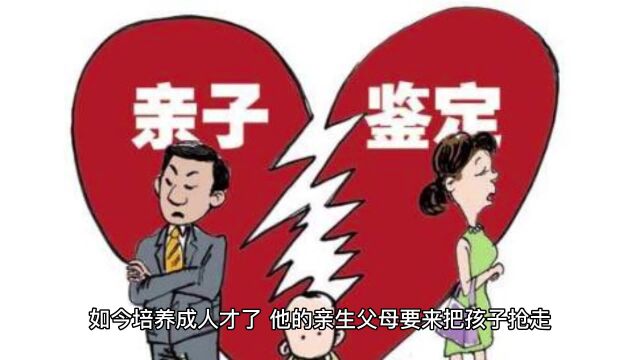 养育之恩 民间真实故事