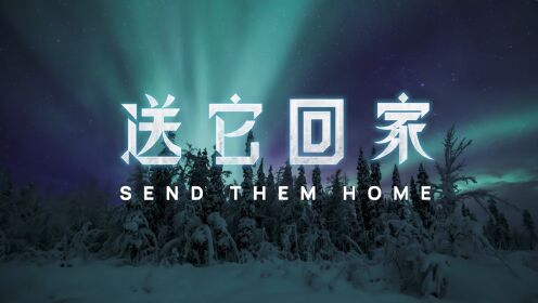 李宇春X汉斯·季默《冰冻星球II》国际推广曲《送它回家》MV