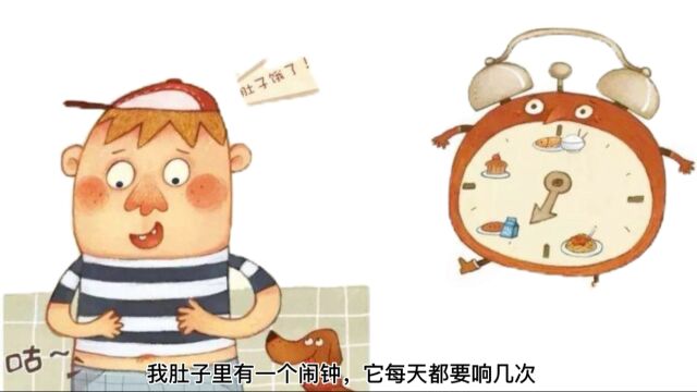 科学小故事《肚子里的闹钟》