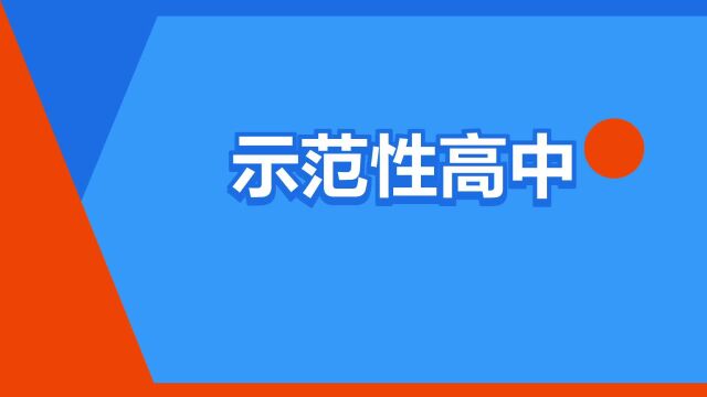 “示范性高中”是什么意思?