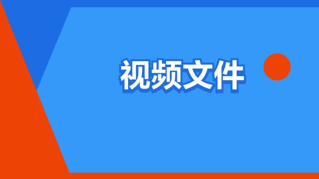 “视频文件”是什么意思?