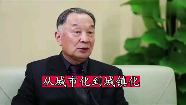 温铁军教授:从城市化到城镇化