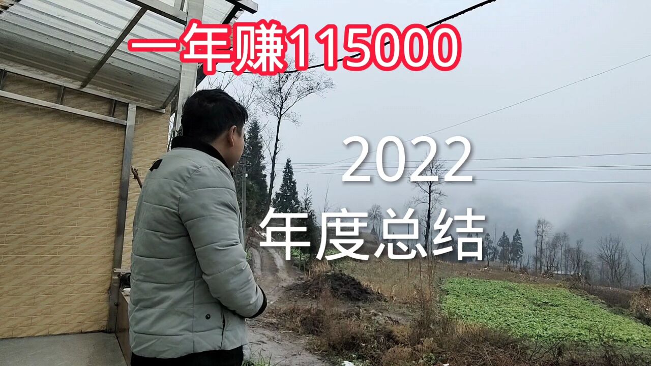 2022年度总结,一年赚115000,开烧烤店被套,一年白干了