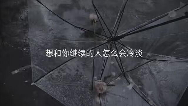 第6集|决定放下的人再见面就不要心潮澎湃了. #Sots摄影 #摄影 #手机摄影